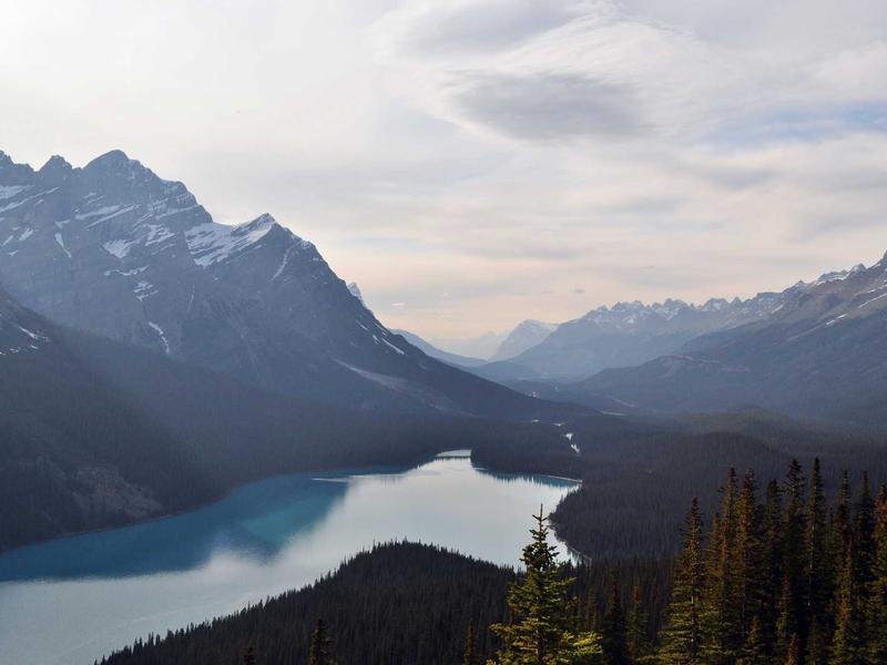 Biaya Kuliah Terjangkau: Alasan Mahasiswa Internasional Datang ke Indonesia